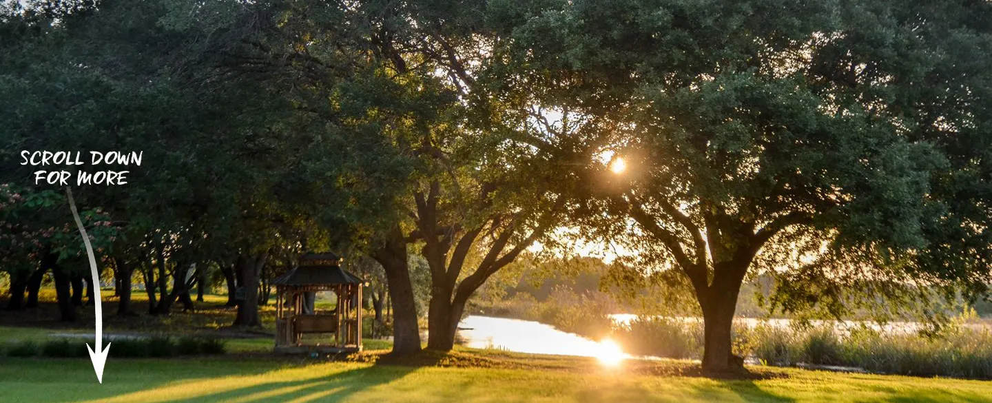 weddings and events at a big house with land and big yard in florida