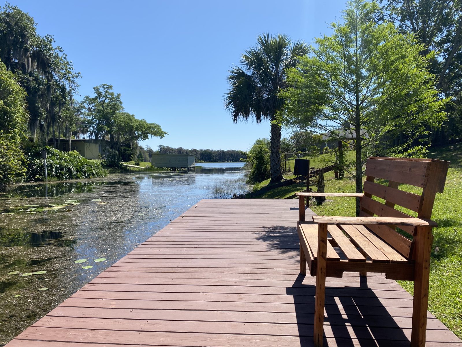 Dock on Lake Jessamine