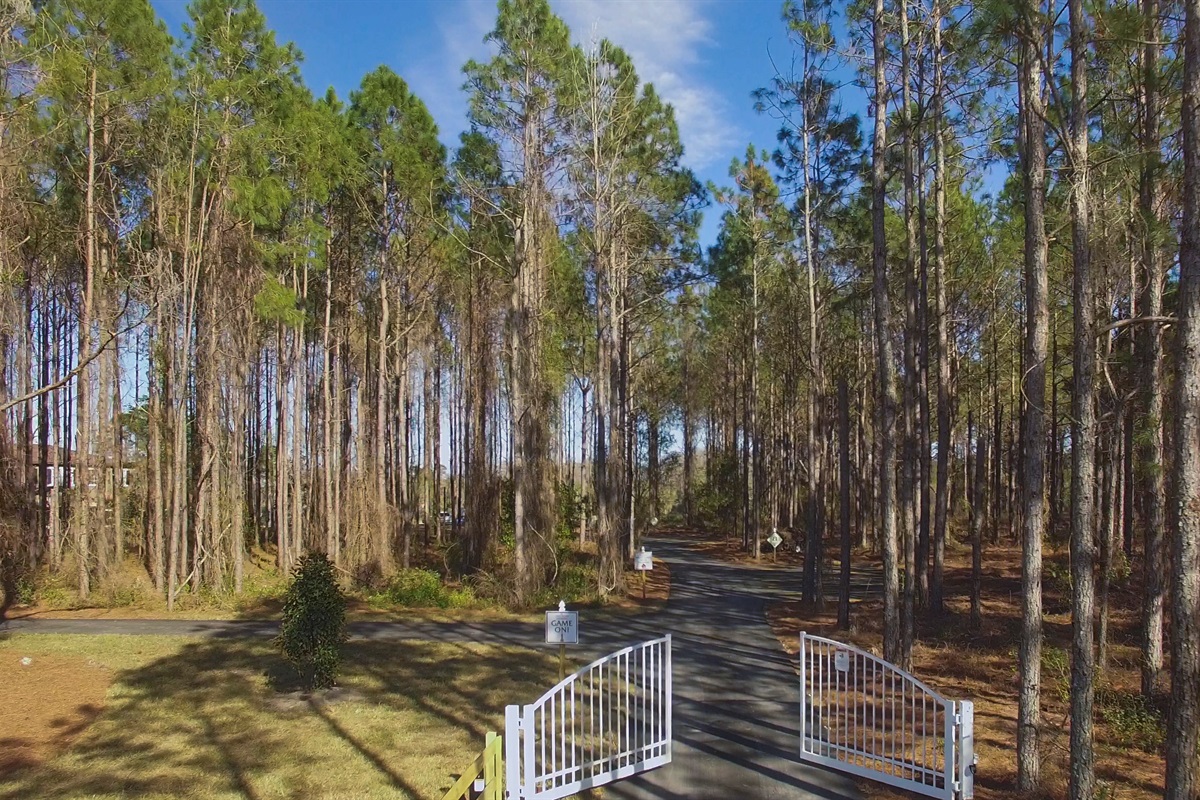The gated entrance drive.