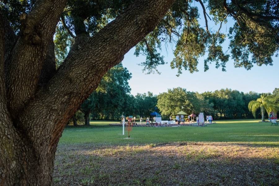 Lawn games under the oaks.
